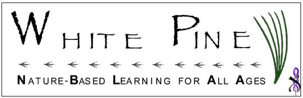 White Pine Programs
